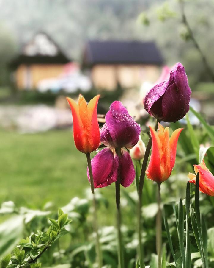 Mala Gorczanska Chatka Ochotnica Dolna Dış mekan fotoğraf